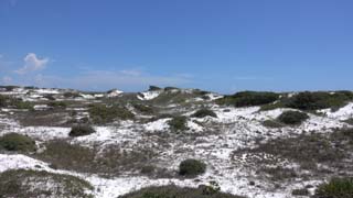 Dunes